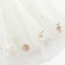 Load image into Gallery viewer, Cream Embroidered Mesh Party Dress