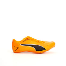 Load image into Gallery viewer, evoSPEED Brush 7