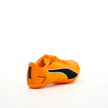 Load image into Gallery viewer, evoSPEED Brush 7