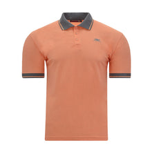 Load image into Gallery viewer, POLO NORMAL DRAY