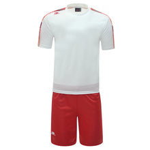 Load image into Gallery viewer, PLAYING SET LEO B