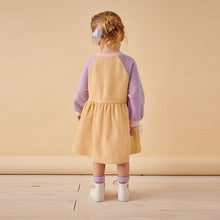Load image into Gallery viewer, Yellow Character Long Sleeve Jumper Dress (3mths-6yrs)