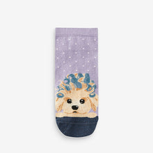 Load image into Gallery viewer, Grey/Purple Dog Spa Trainer Socks 4 Pack