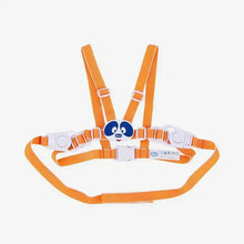 Load image into Gallery viewer, Chicco Safety Harness