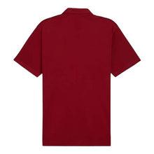 Load image into Gallery viewer, Pure Solid Men's Golf Polo