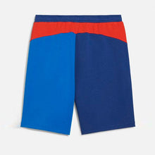 Load image into Gallery viewer, BMW M Motorsport ESS+ Shorts Men