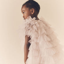 Load image into Gallery viewer, Shell Pink Sparkle Ruffle Mesh Dress (3mths-6yrs)