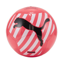 Load image into Gallery viewer, Big Cat Soccer Ball
