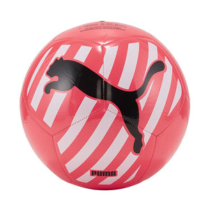 Big Cat Soccer Ball