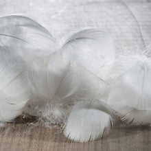 Load image into Gallery viewer, Collection ESSENTIEL Couette - La chambre