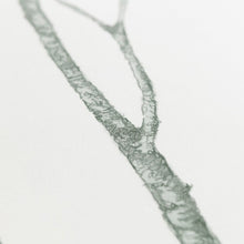 Load image into Gallery viewer, MONARBRE LIT IM COL UNIQ