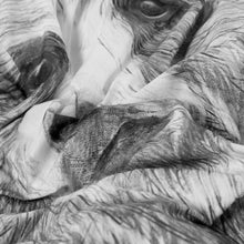 Load image into Gallery viewer, Collection GRIZZLI - La Chambre