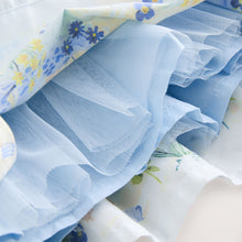 Load image into Gallery viewer, Blue and Yellow Scene Printed Baby Smock Dress (0mths-18mth)