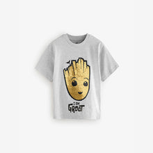 Load image into Gallery viewer, Grey Flip Sequin Licensed Groot T-Shirt