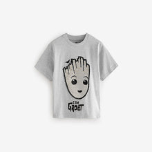 Load image into Gallery viewer, Grey Flip Sequin Licensed Groot T-Shirt