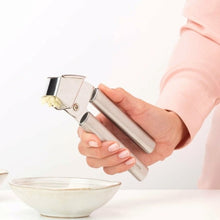 Load image into Gallery viewer, Brabantia Profile Garlic Press Matt Steel