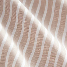 Load image into Gallery viewer, Neutral Stripe Soft Relaxed Long Sleeve V Neck Shirt