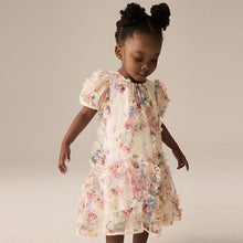 Load image into Gallery viewer, Multi Floral Mesh Party Dress (6mths-6yrs)