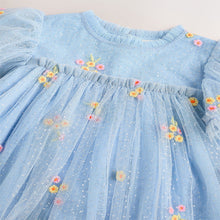 Load image into Gallery viewer, Blue Embroidered Flower Mesh Baby Dress (0mths-18mth)