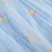 Load image into Gallery viewer, Blue Embroidered Flower Mesh Baby Dress (0mths-18mth)