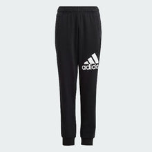Load image into Gallery viewer, Essentials Regular Fit Big Logo Cotton Pants