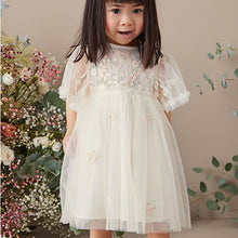 Load image into Gallery viewer, White Embroidered Mesh Party Dress (3mths-6yrs)