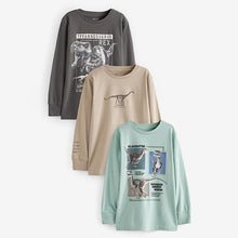 Load image into Gallery viewer, Mineral Dinosaurs Long Sleeve Graphic T-Shirts 3 Pack (3-10yrs)