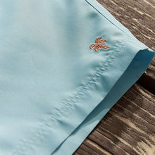 Load image into Gallery viewer, Light Blue Palm Logo Essential Swim Shorts