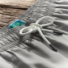 Load image into Gallery viewer, Ice Grey Palm Logo Essential Swim Shorts