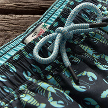 Load image into Gallery viewer, Navy/Light Blue Lobster Geo Regular Fit Printed Swim Shorts