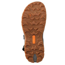 Load image into Gallery viewer, Agave