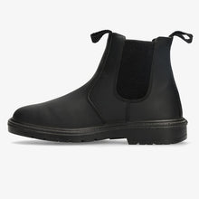 Load image into Gallery viewer, Angus