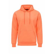 Load image into Gallery viewer, HOODIE LUC SW01