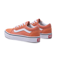 Load image into Gallery viewer, JN OLD SKOOL-BM5 COLOR THEORY SUN BAKED