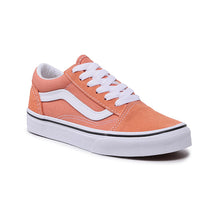 Load image into Gallery viewer, JN OLD SKOOL-BM5 COLOR THEORY SUN BAKED