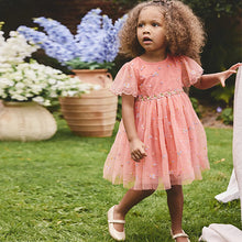 Load image into Gallery viewer, Peach Pink Embroidered Mesh Dress (3mths-6yrs)