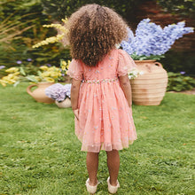 Load image into Gallery viewer, Peach Pink Embroidered Mesh Dress (3mths-6yrs)