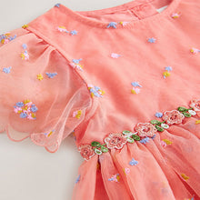 Load image into Gallery viewer, Peach Pink Embroidered Mesh Dress (3mths-6yrs)