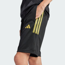 Load image into Gallery viewer, House of Tiro Colors of Football Shorts Kids