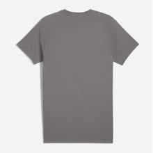 Load image into Gallery viewer, EVOSTRIPE Tee Men