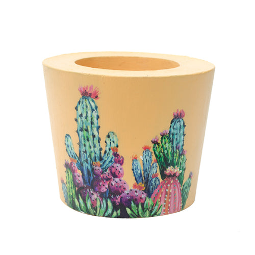 Cactus Pot - Allsport