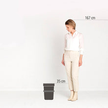 Load image into Gallery viewer, Brabantia Sort & Go Waste Bin, 12L Grey - Allsport