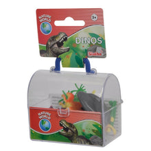 Load image into Gallery viewer, DINOS IN TREASURE BOX