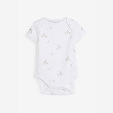 Load image into Gallery viewer, B 4PK DELICATE SSB - Allsport