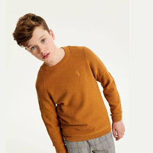 Load image into Gallery viewer, Basic Pique Ochre Textured Crew Jumper (3-12yrs) - Allsport