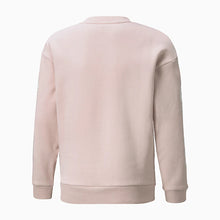 Load image into Gallery viewer, Alpha Crew Neck Youth Sweater - Allsport