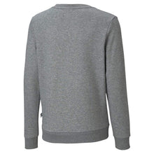 Load image into Gallery viewer, ESS+2 Col Big Logo Crew. - Allsport