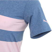 Load image into Gallery viewer, MATTR Kiwi Stri.Polo Star - Allsport