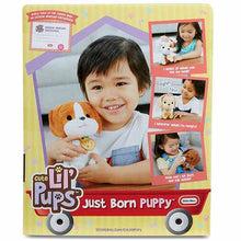 Load image into Gallery viewer, Just Born Puppy - Beagle - Allsport