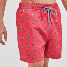 Load image into Gallery viewer, LD CORAL SEAHORSE - Allsport